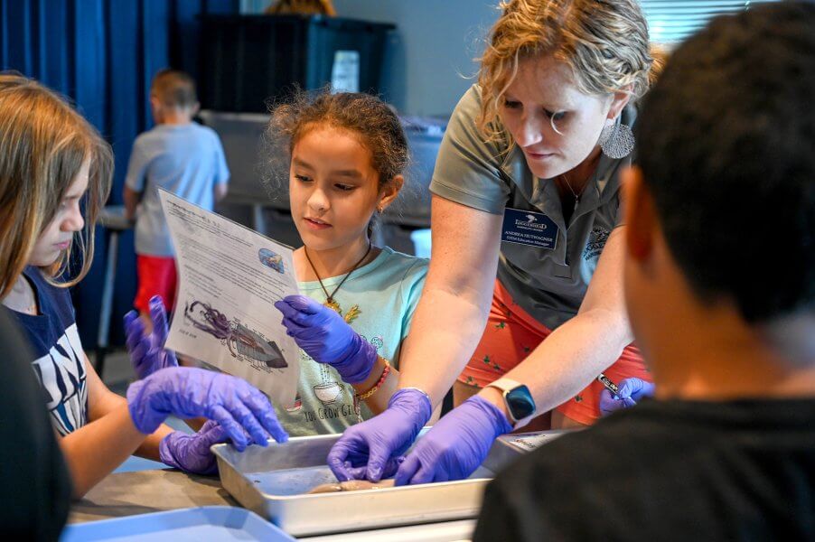 A group of children and an adult wearing gloves and masks are engaged in a hands-on science activity involving a tray with objects and a diagram