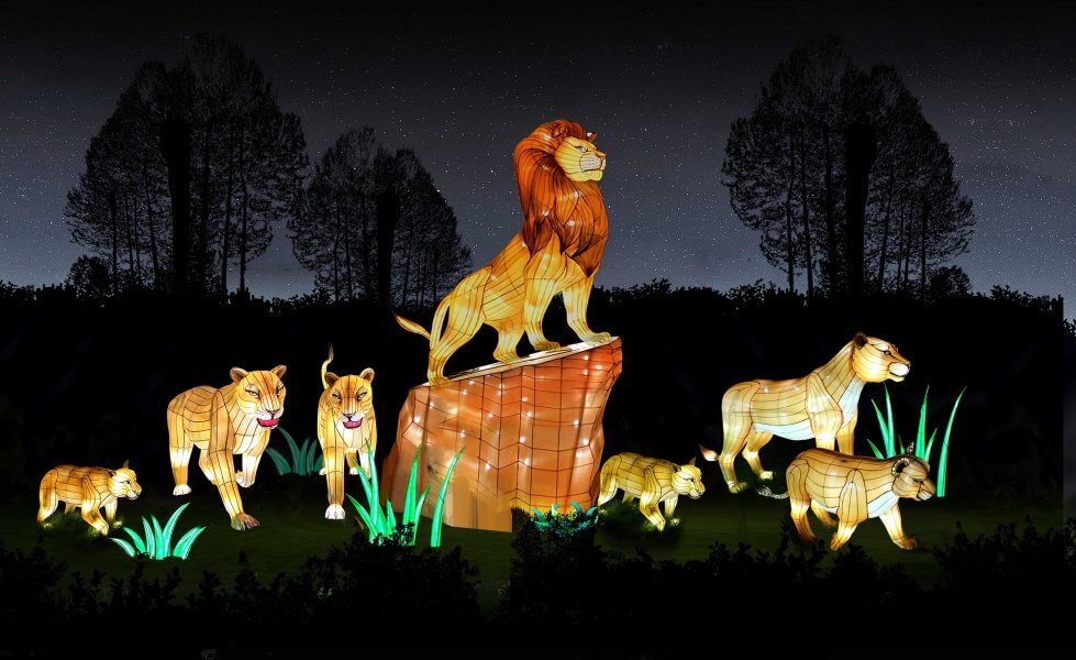 A family of illuminated lion sculptures, including a majestic lion king, prancing lionesses, and playful cubs, glow against a starry night sky