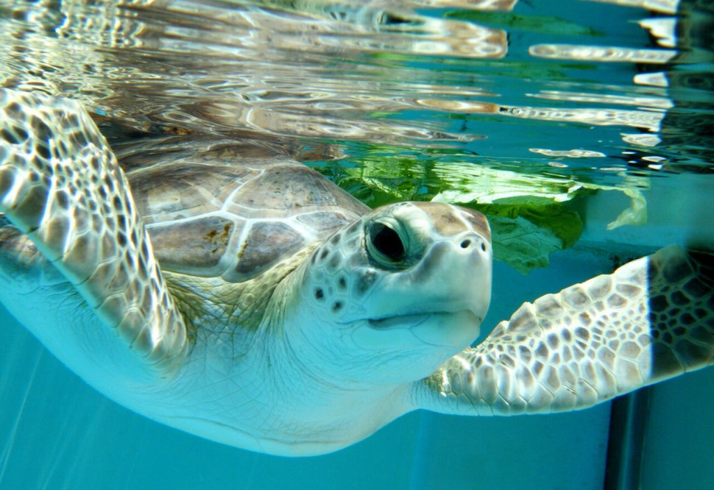 Budget Friendly Activities in The Palm Beaches