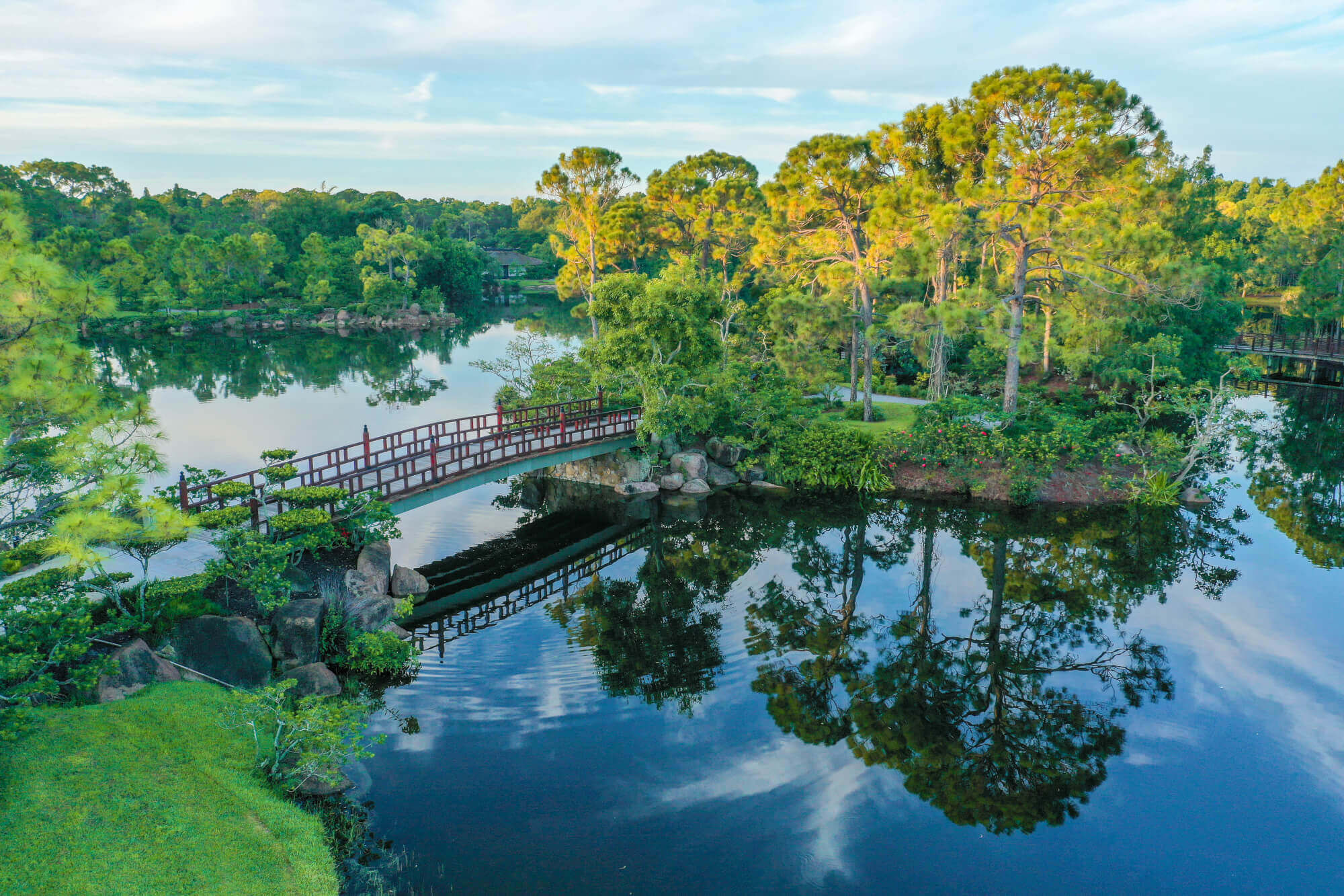 A serene landscape featuring a wooden bridge crossing a tranquil pond surrounded by lush greenery and tall pine trees