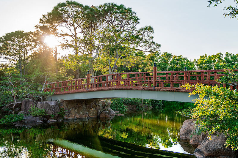 Un sereno puente de madera con intrincadas barandillas cruza un tranquilo estanque, rodeado de exuberante vegetación y altos árboles, con el sol asomándose entre el follaje