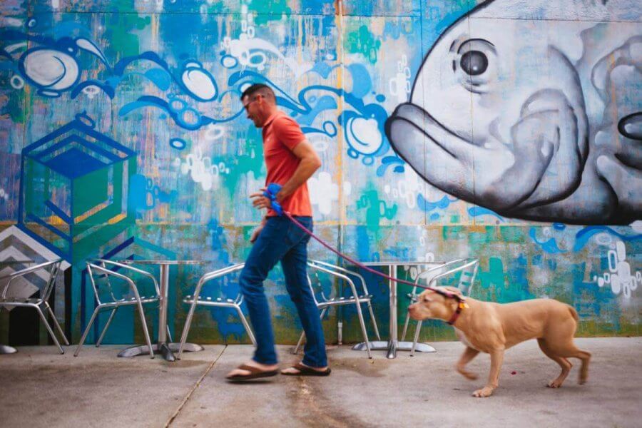 Un hombre con una camiseta naranja pasea a un perro de color beige con correa frente a un llamativo mural que representa un pez grande y motivos abstractos en una pared, con una terraza visible al fondo
