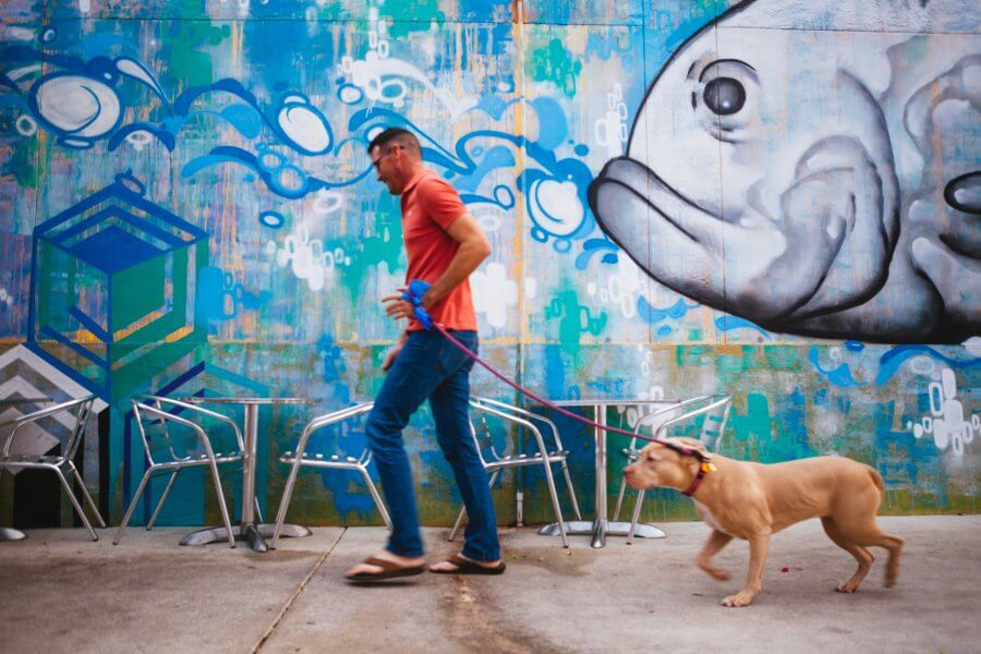 A man in a red shirt walks a dog on a leash past a vibrant mural of a fish on a colorful wall