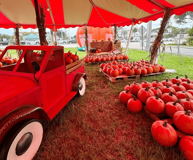 A red toy truck sits next to many pumpkins under a red and white tent
