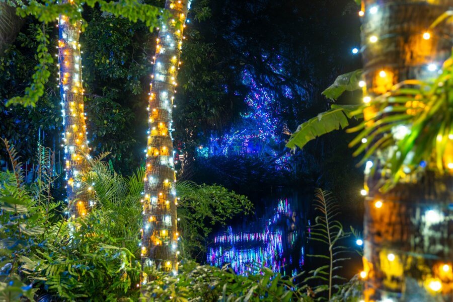 A nighttime scene featuring palm trees wrapped in warm, golden lights, with a serene pond reflecting vibrant blue and purple lights in the background, surrounded by lush tropical foliage