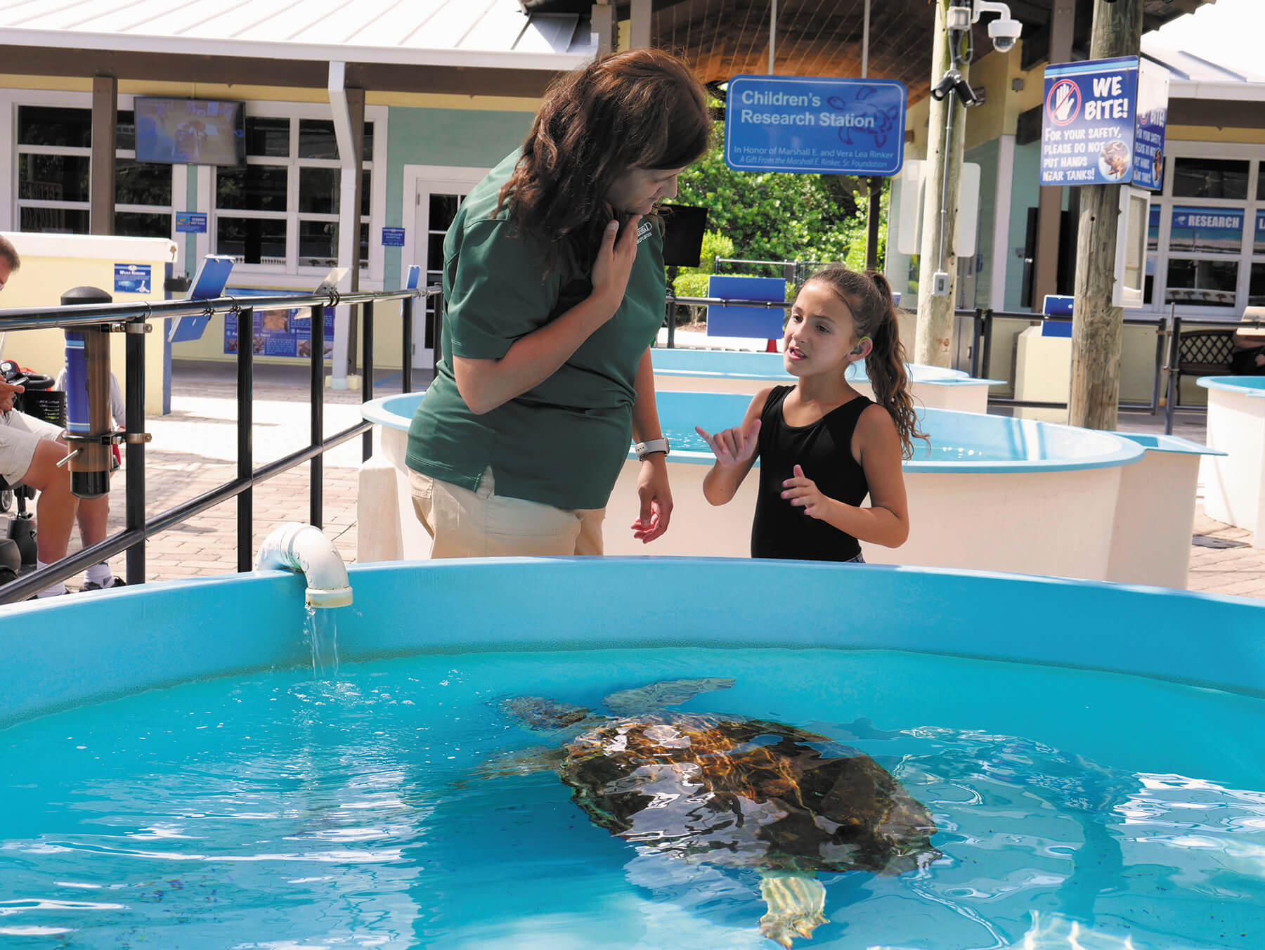 A woman and a young girl observe a sea turtle swimming in a clear, green pool at a research station