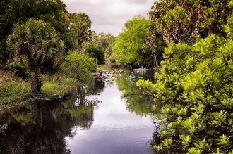 Explore the Great Outdoors in The Palm Beaches