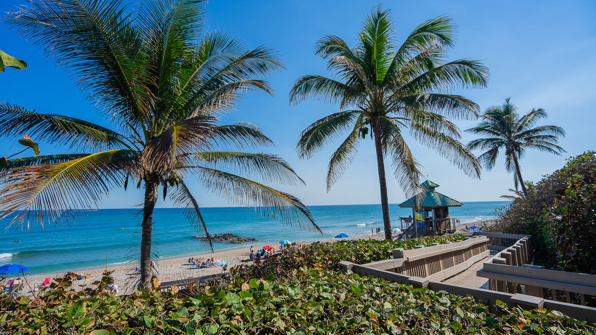 Protege nuestras playas y espacios naturales