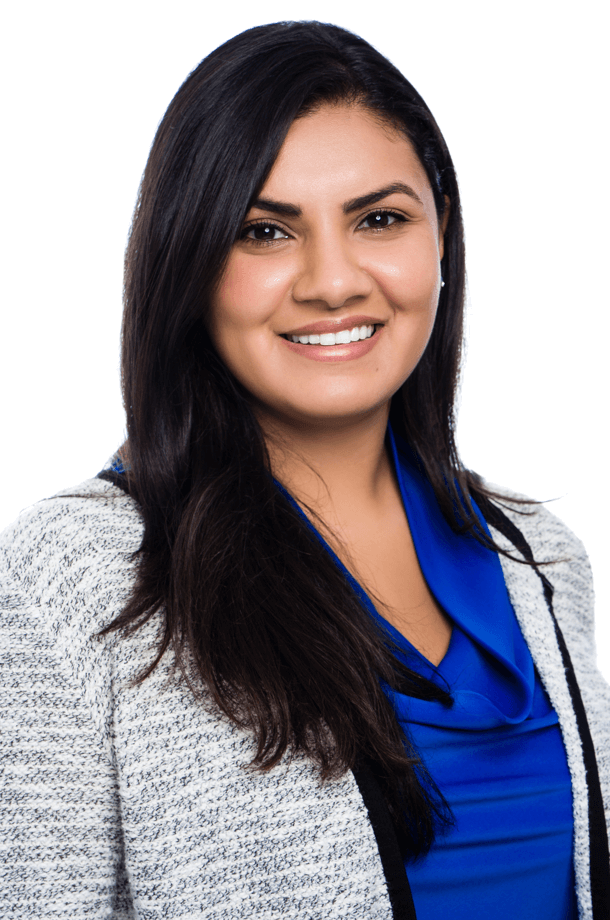 meet The Palm Beaches team