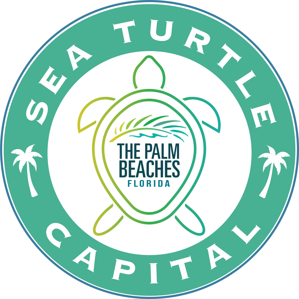 Um logotipo vibrante que apresenta uma tartaruga marinha estilizada com palmeiras, representando The Palm Beaches, Flórida
