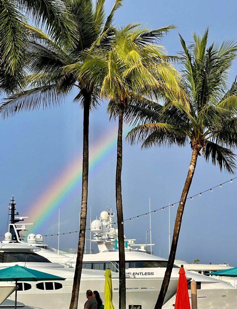Cosas que hacer en un día de lluvia en The Palm Beaches