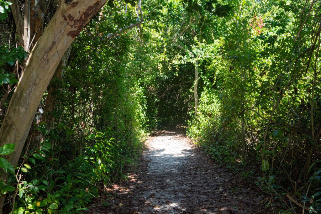 Explorar el Parque Estatal John D. MacArthur Beach