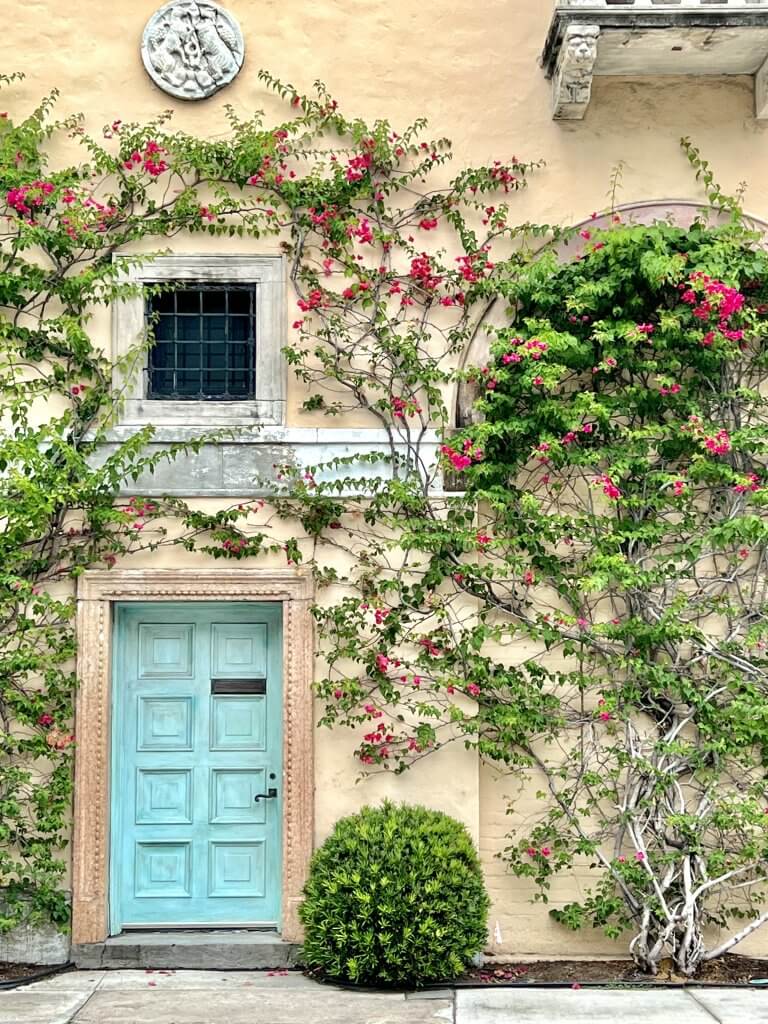 A charming Mediterranean-style house with a vibrant blue door framed by lush green vines and pink bougainvillea flowers
