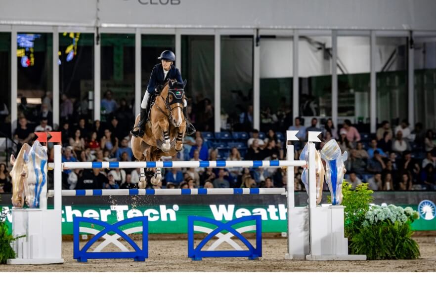 A skilled equestrian, clad in a navy blue jacket and helmet, expertly guides a powerful chestnut horse over a blue and white striped jump during a thrilling show jumping competition, as an enthusiastic crowd watches from the stands