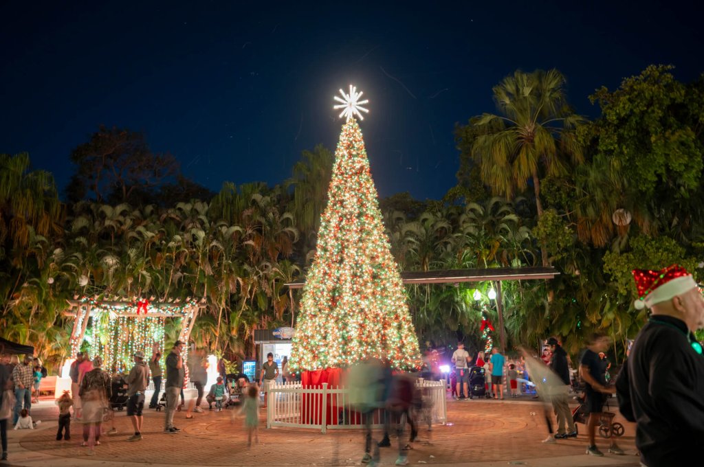 Uma festiva árvore de Natal se ergue em um parque, adornada com luzes coloridas e encimada por uma estrela brilhante, cercada por alegres celebrantes do feriado