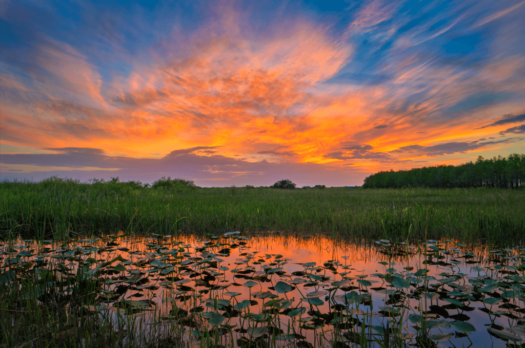 Senderos naturales aptos para autistas en Palm Beaches, Florida
