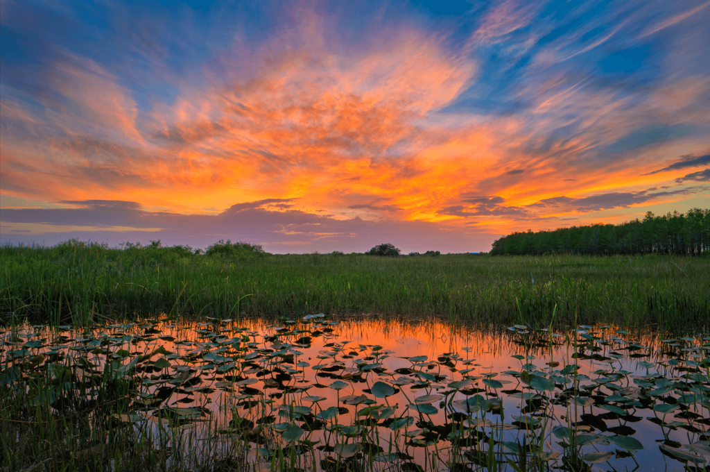 Autism-Friendly Nature Trails in The Palm Beaches, Florida