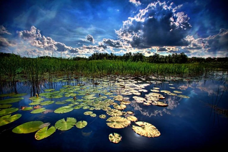 24 actividades gratuitas (o casi) en Palm Beaches