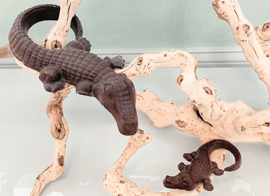 10 meilleurs chocolatiers des Palm Beaches