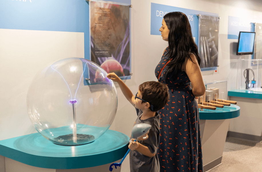 Sensory-Friendly Attractions: Cox Science Center and Aquarium