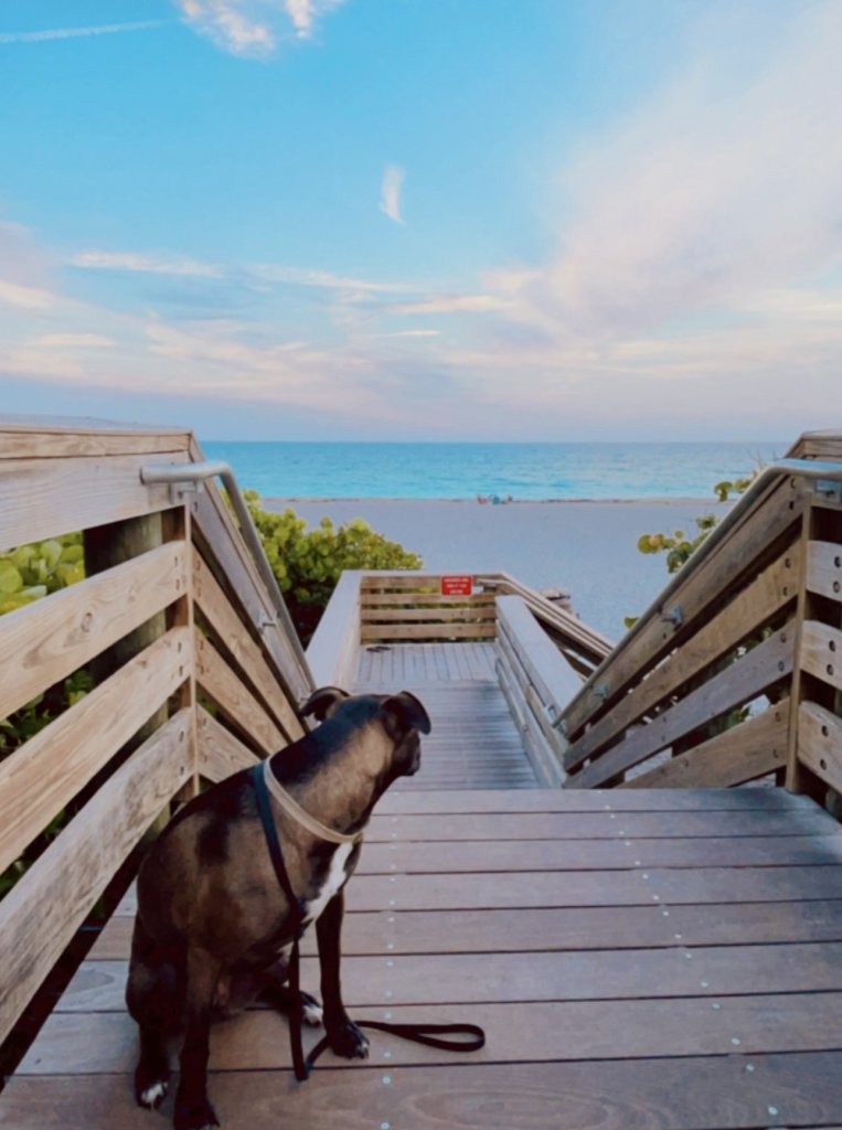 10 Mejores Lugares en Jupiter y Juno Beach, Florida