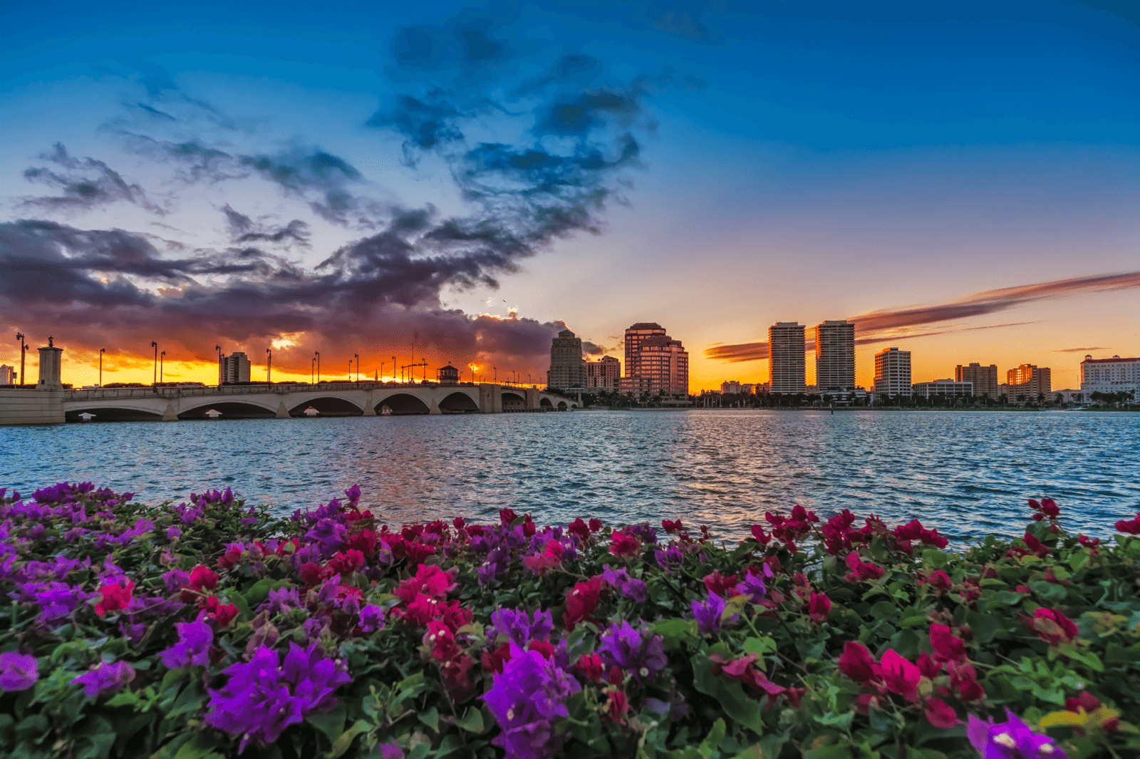 Ser respetuoso con el medio ambiente: negocios y atracciones sostenibles en  Palm Beaches, image size:1600x1065