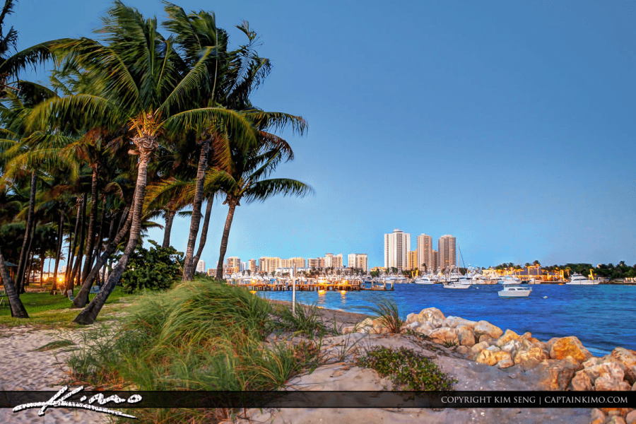 A serene tropical beach scene with swaying palm trees, a calm ocean, and a distant city skyline at dusk