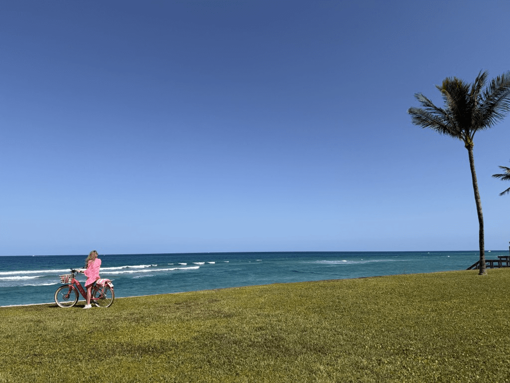 Una mujer con un vestido rosa está sentada en una bicicleta roja, contemplando el vasto océano azul bajo un cielo despejado en una playa cubierta de hierba.