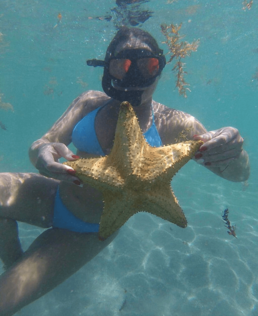 A woman in a blue bikini holding a large starfish underwater while snorkeling