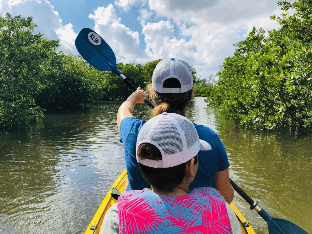 Two kayakers, one adult and one child, paddle through a serene mangrove forest under a bright blue sky