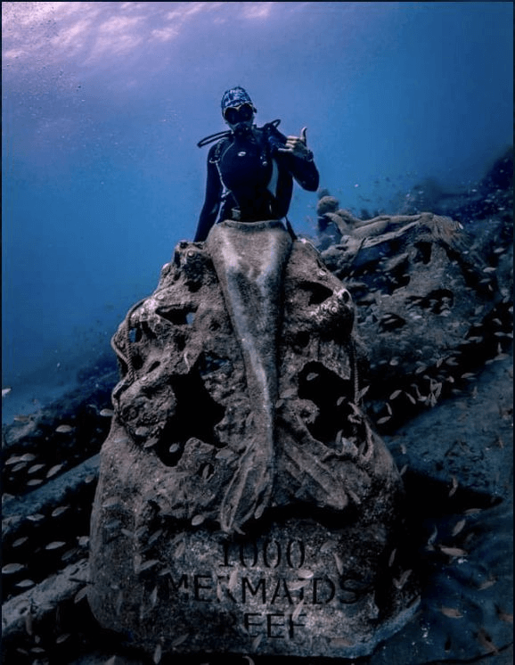 6 World-Class Dive Spots in The Palm Beaches
