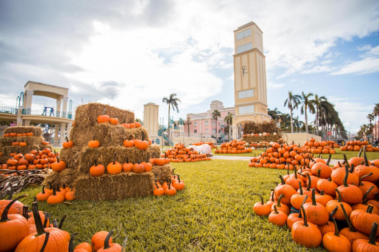 Resumen de eventos: Qué hacer este octubre en Palm Beaches