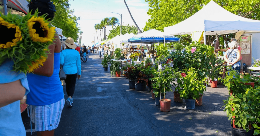 Um movimentado mercado ao ar livre com arranjos de flores coloridas e vasos de plantas expostos sob tendas brancas, cercado por uma vegetação exuberante e palmeiras