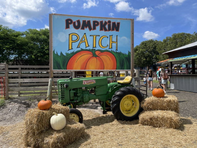 Halloween Happenings in The Palm Beaches