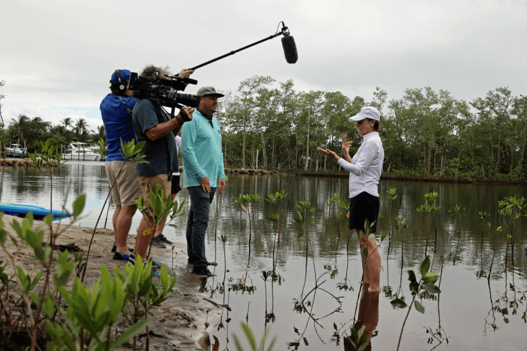 Une équipe de tournage interviewe une femme debout dans une eau peu profonde entourée de mangroves.