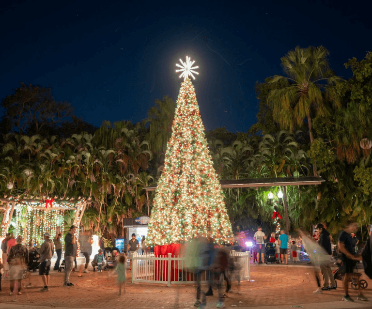 A festive Christmas tree stands tall in a tropical park, surrounded by palm trees and twinkling lights, as families enjoy the holiday atmosphere