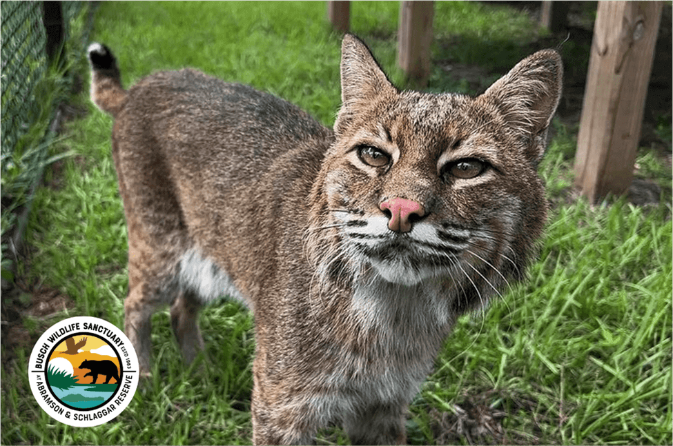 Things to Do This Weekend in The Palm Beaches