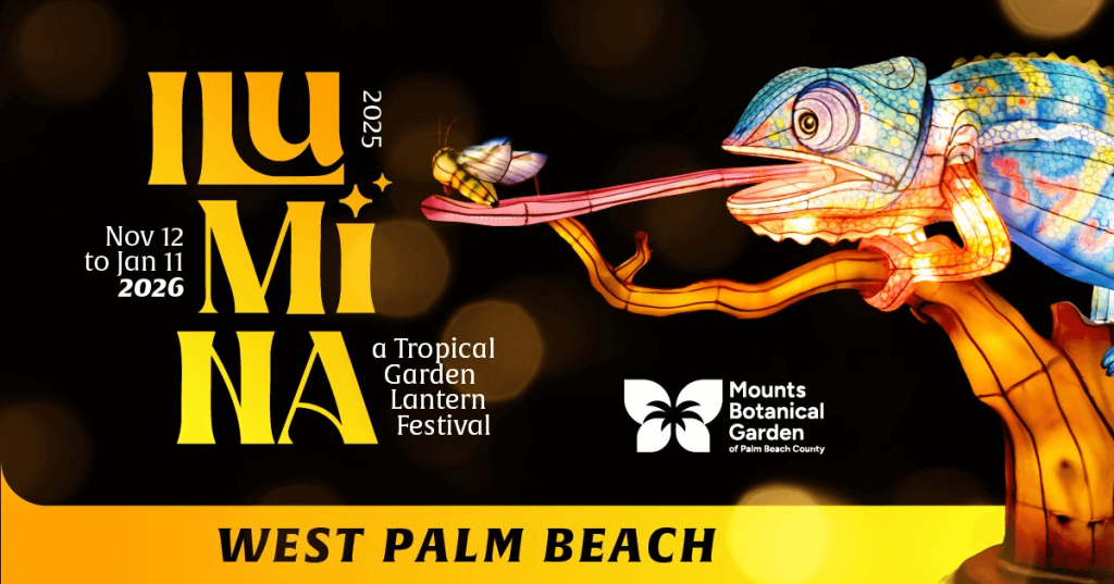 Una linterna con forma de camaleón, llena de colorido y luces, con una lengua brillante, atrapa a una luciérnaga en el Festival de Linternas del Jardín Tropical LUMiNA, en West Palm Beach