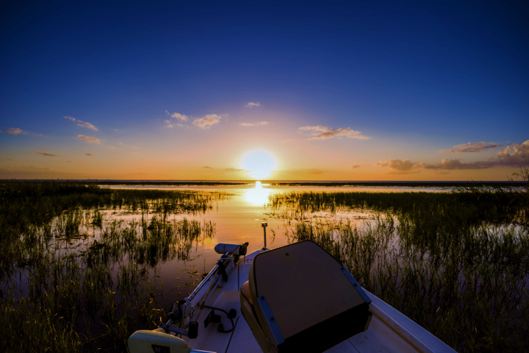 10 Aktivitäten in den Glades und rund um den Lake Okeechobee