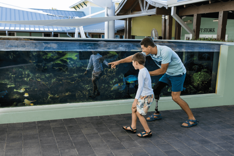 Novedades en Atracciones y Eventos en The Palm Beaches, FL este 2024