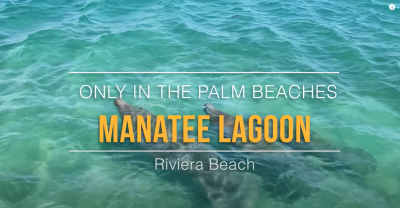 Manatee Lagoon | Only in The Palm Beaches