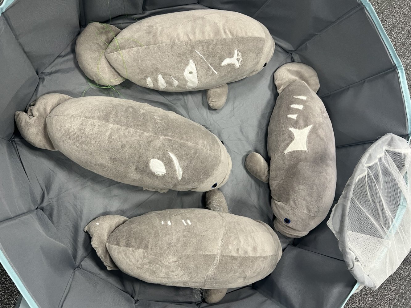 Sensory-Friendly Attractions: Manatee Lagoon | The Palm Beaches