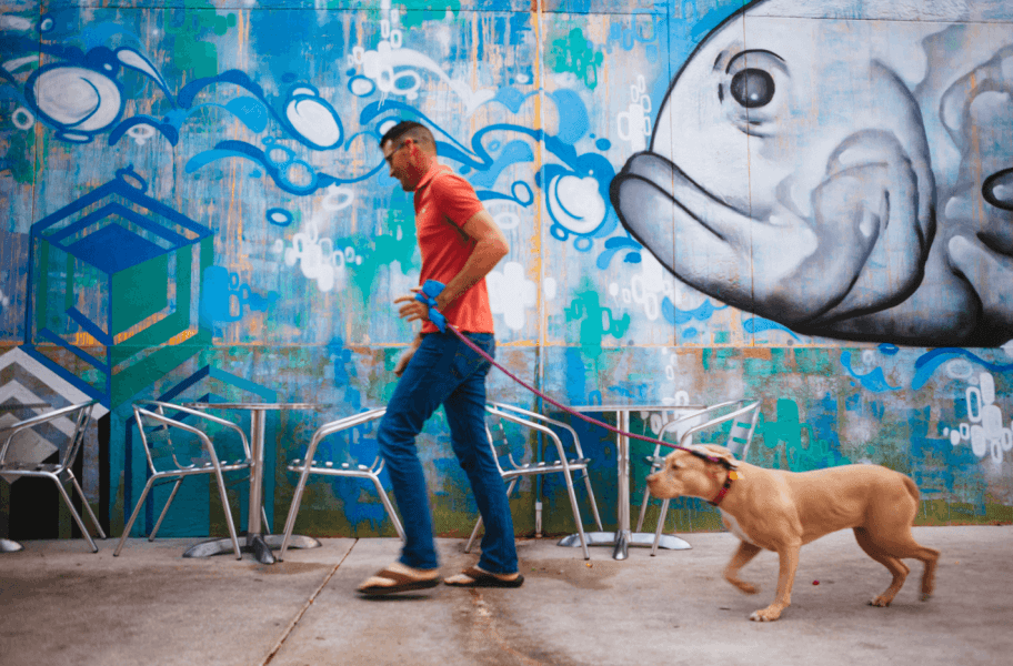 Ein Mann in einem rosafarbenen Hemd geht mit seinem Hund an der Leine an einer Wand mit bunten Graffiti und geometrischen Mustern vorbei, auf der ein Fisch abgebildet ist.