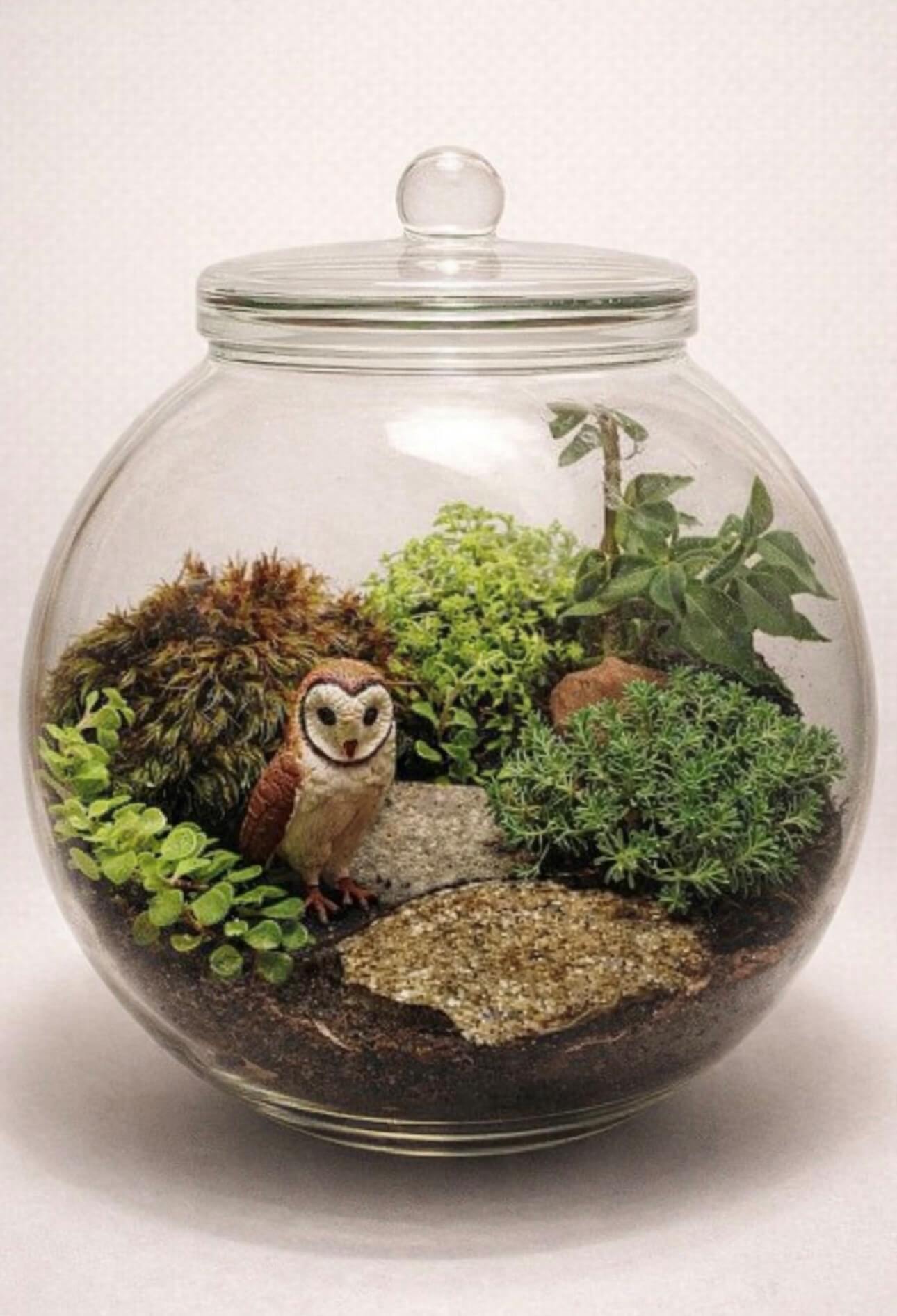 Oficina de terrários no Busch Wildlife Sanctuary