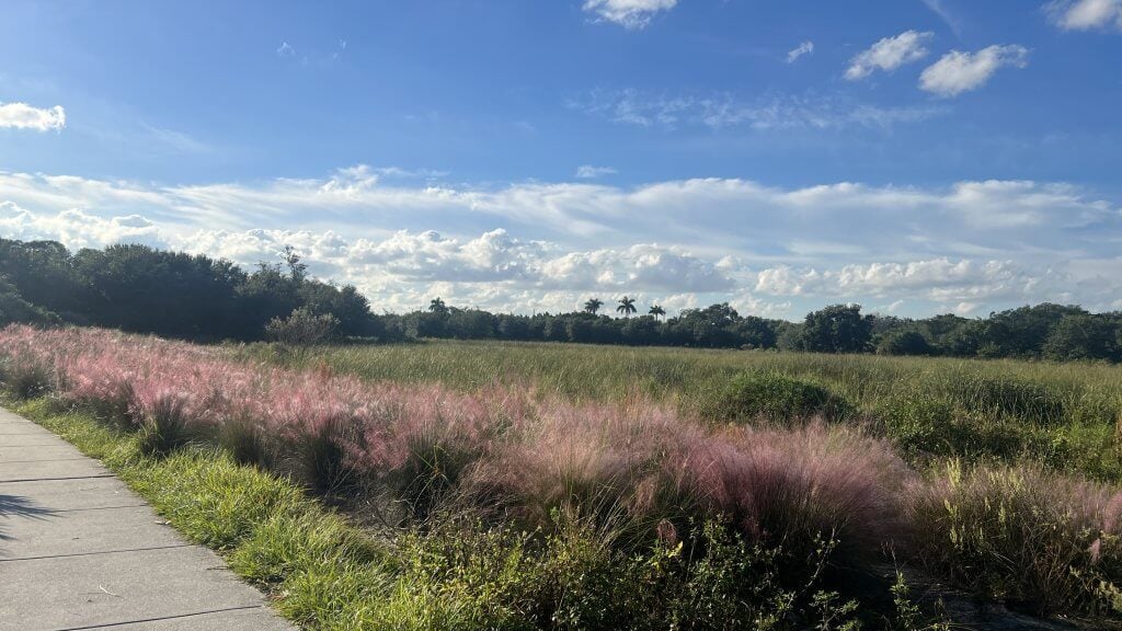 Un paisaje sereno con un sendero empedrado que serpentea a través de un campo de hierba alta y flores de color rosa púrpura, y que conduce hacia un bosque frondoso bajo un cielo azul brillante salpicado de nubes blancas y esponjosas