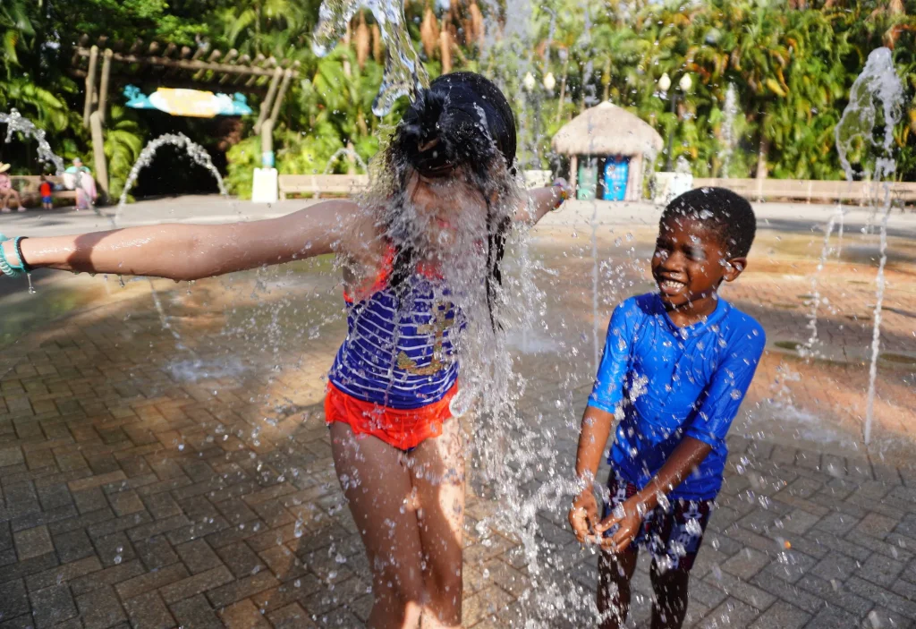 Unternehmungen an diesem Wochenende in den Palm Beaches