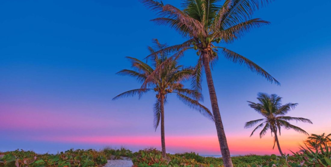 Delray Beach, FL: Things To Do, Attractions